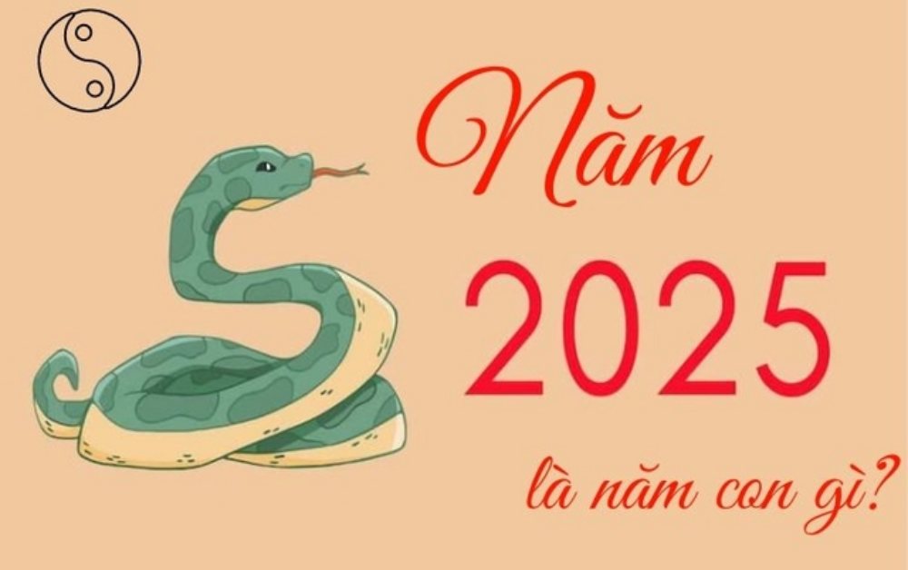 Năm 2025 là năm con gì?