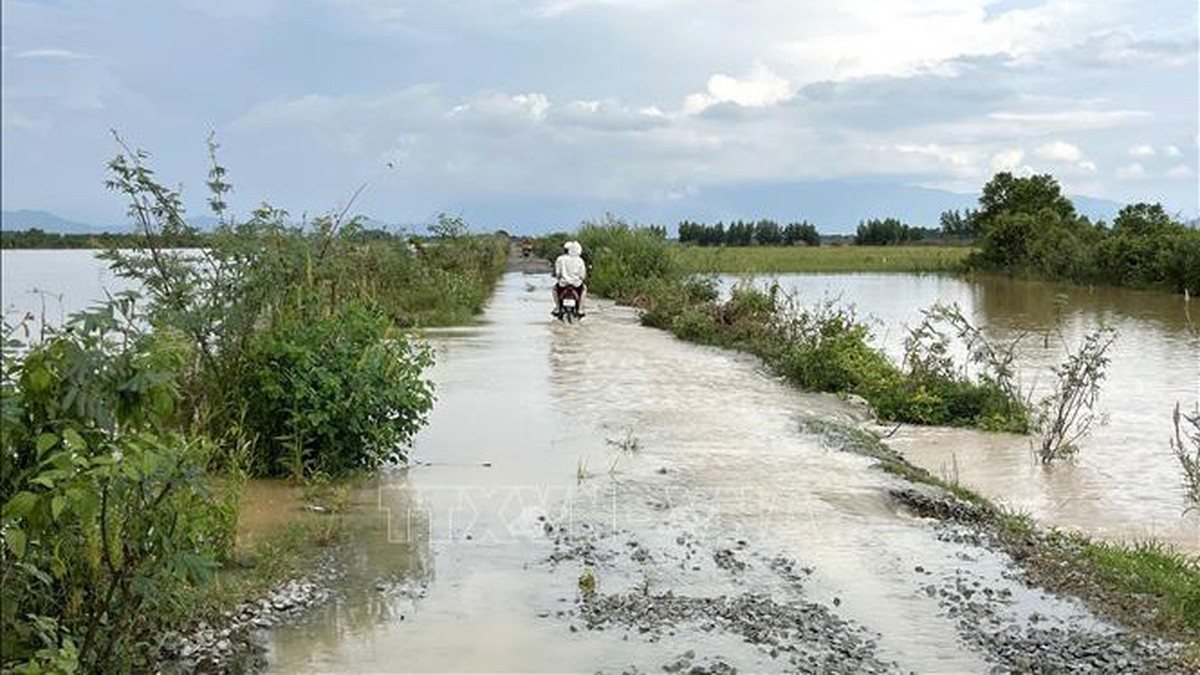 Trung Bộ và Tây Nguyên cục bộ có nơi mưa to trên 80mm