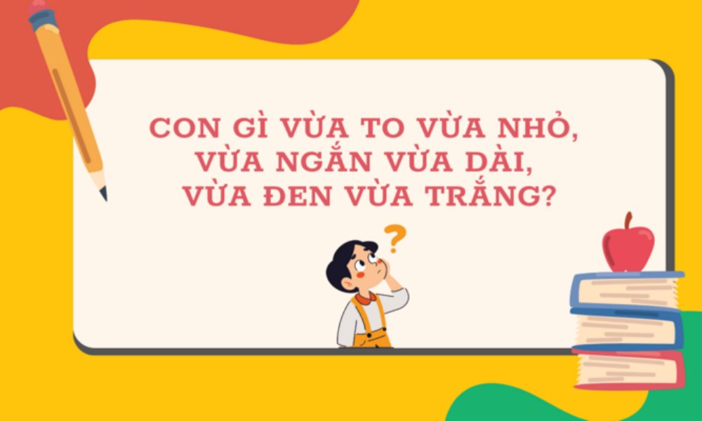 Con gì vừa to vừa nhỏ, vừa ngắn vừa dài, vừa đen vừa trắng?