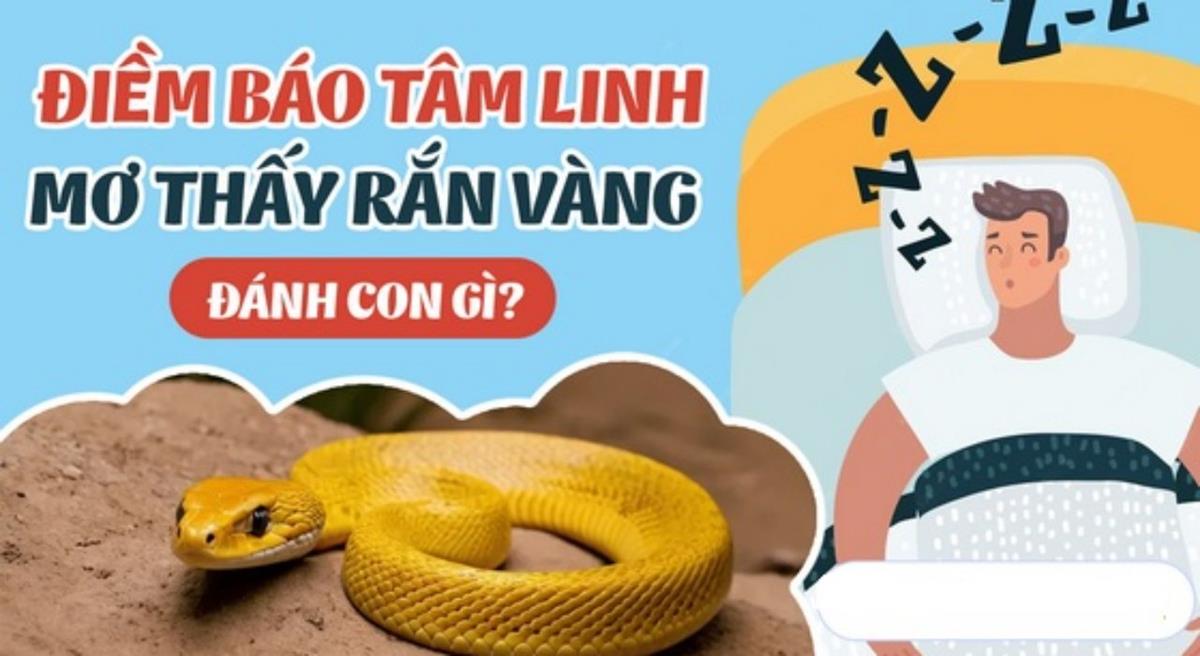 Mơ thấy rắn vàng là điềm may hay rủi?