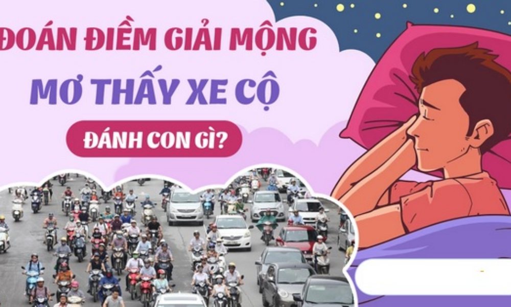 Nằm mơ thấy xe là giấc mơ có ý nghĩa thế nào?