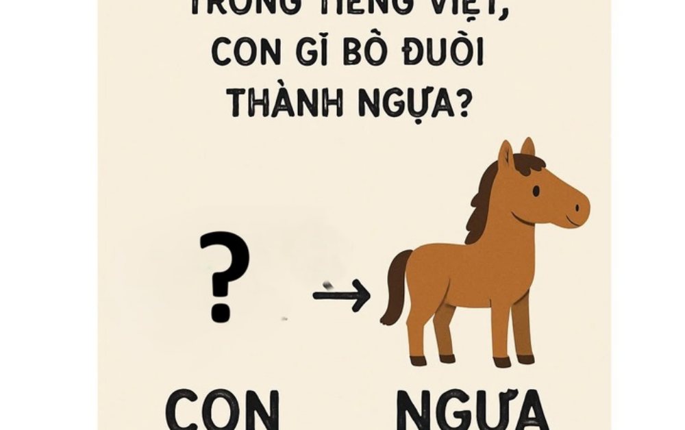 Con gì bỏ đuôi thành con ngựa?