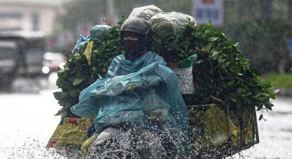 Miền Trung mưa, miền Bắc chuyển mưa rét từ đêm