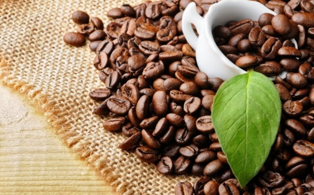 Giá cà phê hôm nay 22/5/2025: Khó giữ mốc 125.000 đồng/kg