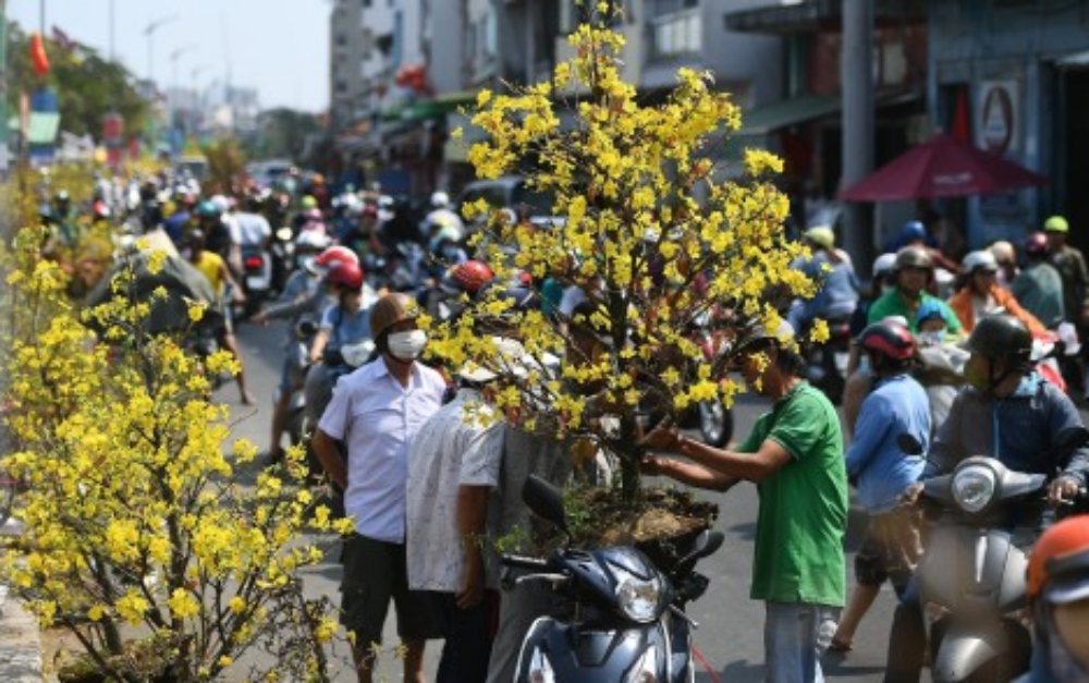 Chậm công bố lịch nghỉ Tết Nguyên đán 2025, công ty có bị phạt?