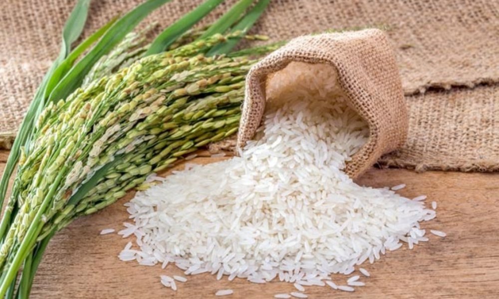 Giá lúa gạo hôm nay 25/5/2025: Ổn định