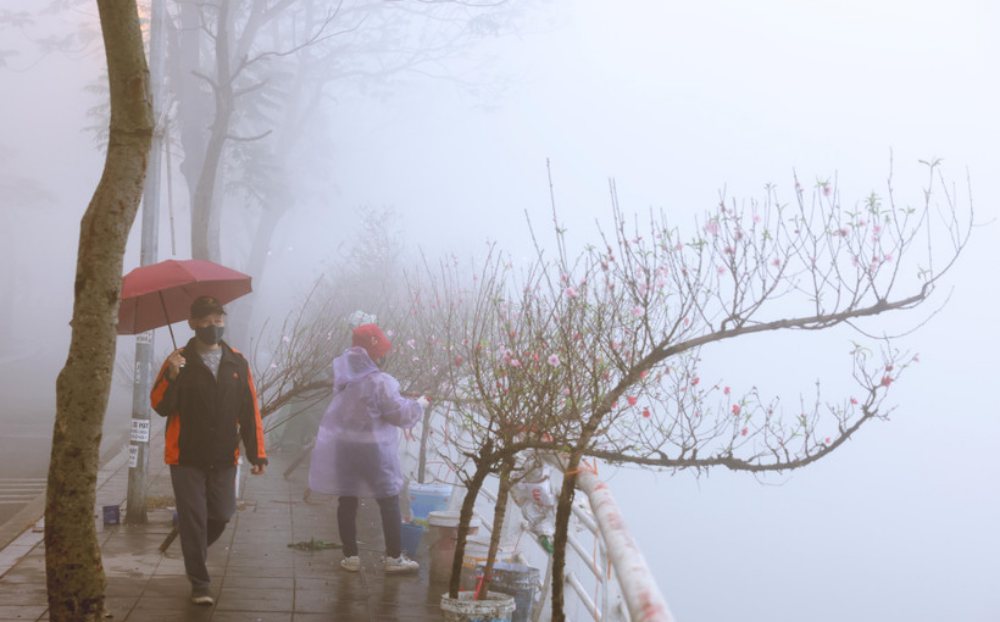 Dự báo thời tiết hôm nay 13/2: Bắc Bộ trời lạnh và có sương mù, Nam Bộ ngày nắng