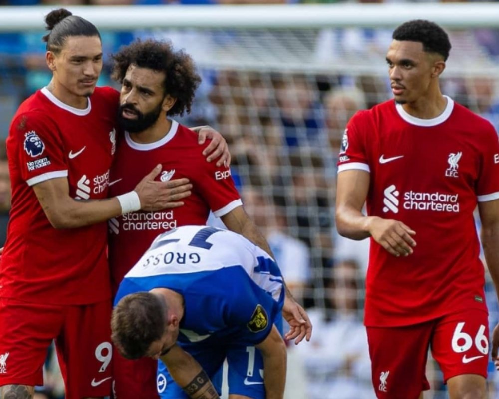 Nhận định, dự đoán Brighton vs Liverpool, 02h30 ngày 31/10: Tiếp đà thăng hoa