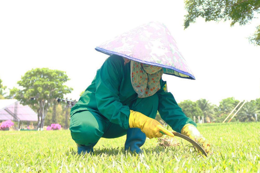 Dự báo thời tiết 7/4: Miền Bắc và miền Trung xuất hiện nắng nóng đặc biệt gay gắt