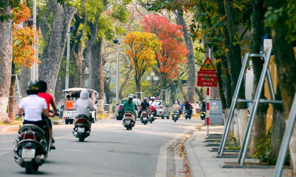 Dự báo thời tiết 26/5: Miền Bắc và Bắc Trung Bộ trời mát mẻ