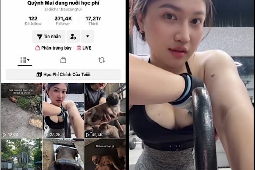 Lộ clip Quỳnh Mai đang nuôi học phí gây bão mạng xã hội