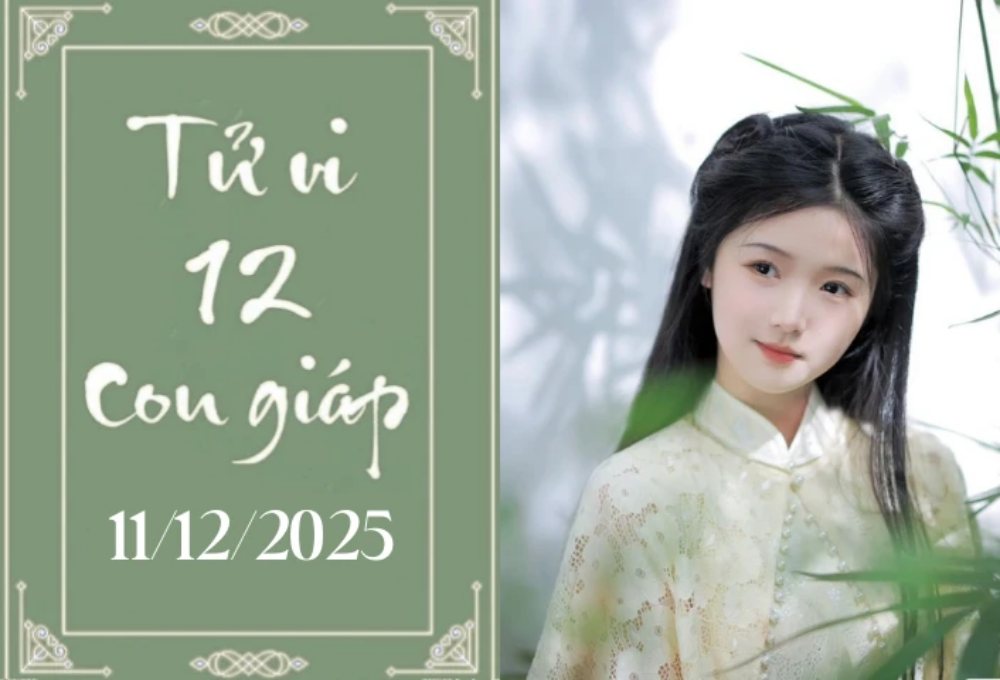Tử vi 12 con giáp hôm nay ngày 11/12/2025: Hợi hanh thông, Tuất cần thận trọng