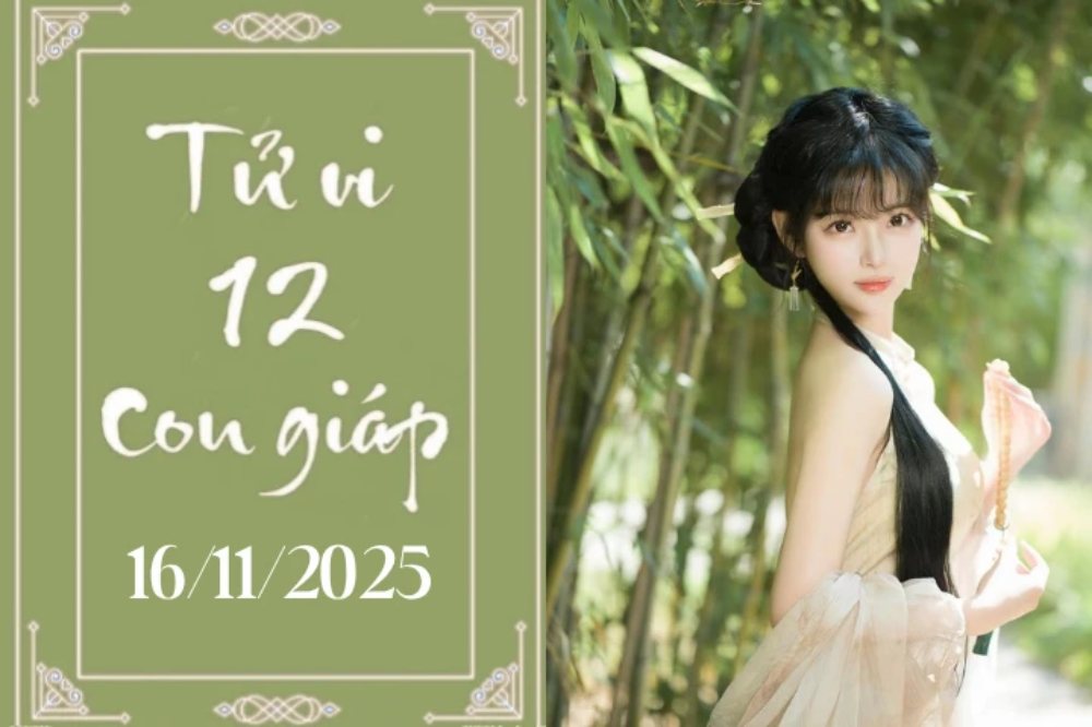 Tử vi 12 con giáp hôm nay ngày 16/11/2025: Thìn bình ổn, Ngọ thuận lợi