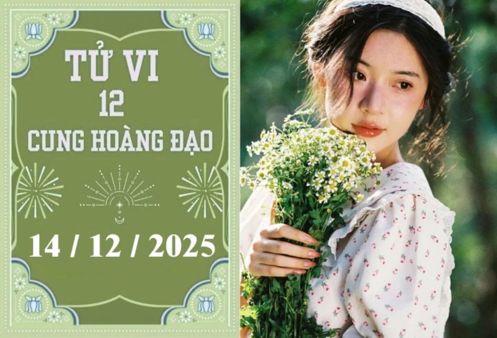 Tử vi 12 cung hoàng đạo ngày 14/12: Sư Tử rắc rối, Thiên Bình đào hoa