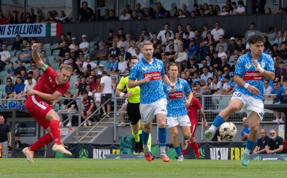 Nhận định bóng đá Wollongong Wolves vs Marconi Stallions 11h15 ngày 15/11: Cuộc chiến khó lường