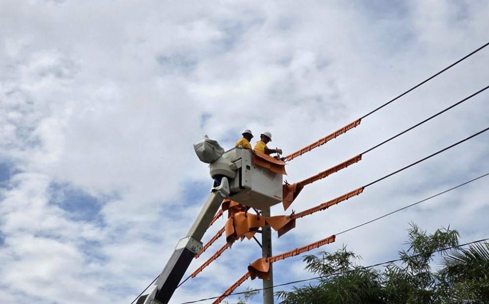 Lịch cắt điện Cần Thơ ngày 20/8/2026 cập nhật mới nhất