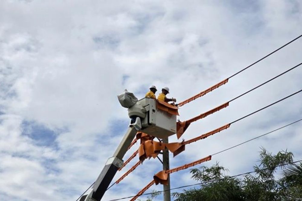 Lịch cắt điện Cần Thơ ngày 29/8/2026 cập nhật mới nhất