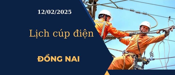 Lịch cúp điện hôm nay ngày 12/02/2025 tại Đồng Nai