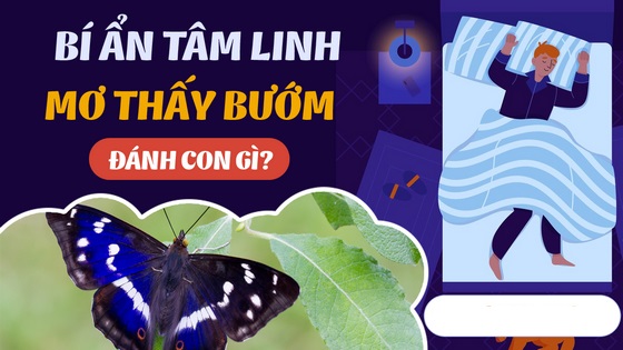 Nằm mơ thấy con bướm có ý nghĩa may mắn không?