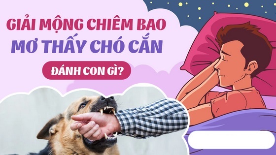 Ngủ mơ thấy bị chó cắn là điềm báo lành hay dữ?