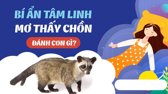 Nằm mơ thấy chồn là điềm báo hên hay xui xẻo?