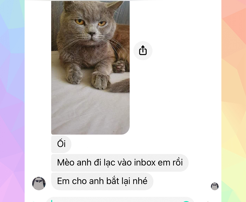 Kiếm những cái cớ hài hước để gây sự chú ý từ crush là một trong những các bắt chuyện của năm 2022