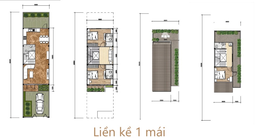 Thiết kế Layout nhà liền kề 1 mái 