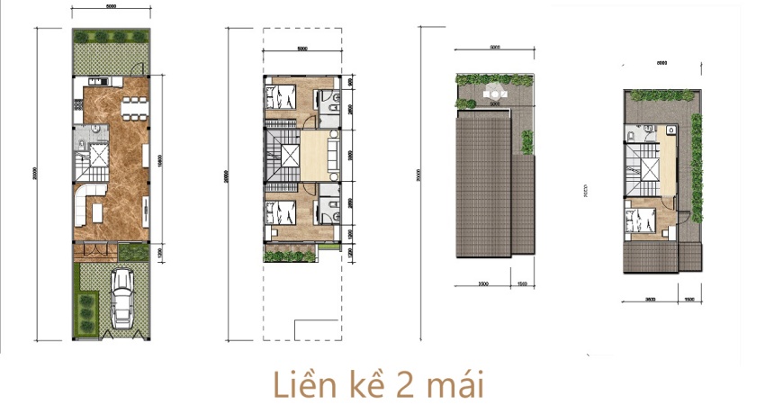 Thiết kế Layout nhà liền kề 2 mái 