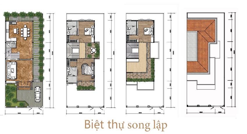 Thiết kế Layout biệt thự song lập