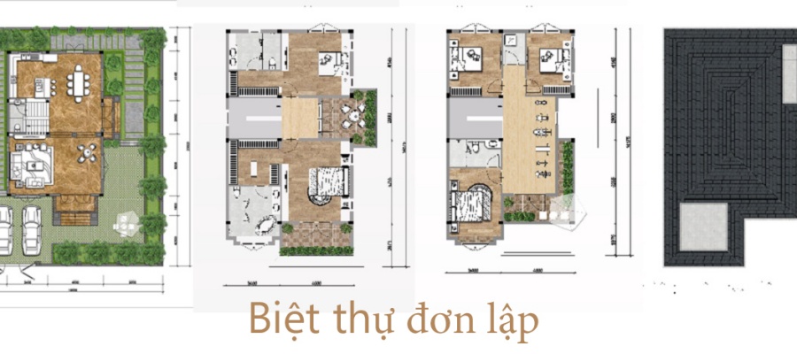 Thiết kế Layout biệt thự đơn lập